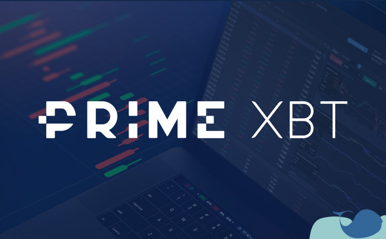 Exploring the Benefits of PrimeXBT Exchange for Cryptocurrency Trading Exploring the Benefits of PrimeXBT Exchange for Cryptocurrency Trading